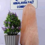 Monument Himalayan Salt Lamp