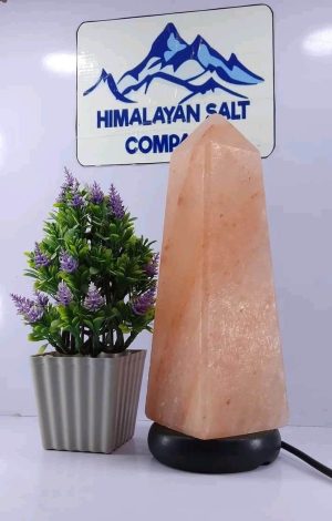 Monument Himalayan Salt Lamp