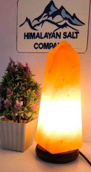 Monument Himalayan Salt Lamp