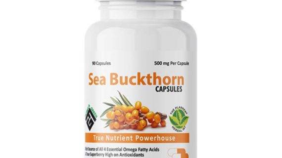 Sea Buckthorn Capsules